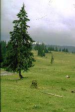 Umělecké foto